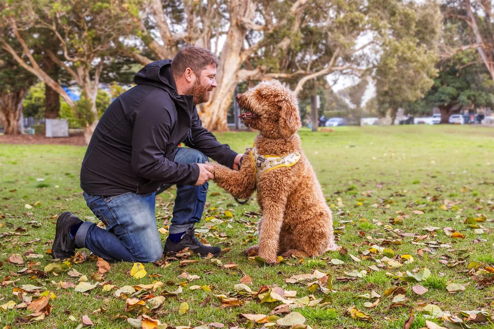 Craig Kirkwood kneeling in a park holding the paw of his curly-coated rescue dog